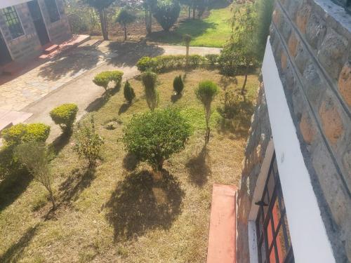 Jardín al aire libre en Kimberly's Guesthouse