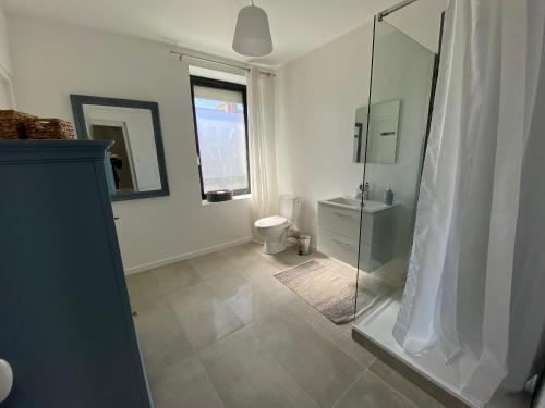 W łazience znajduje się toaleta i przeszklony prysznic. w obiekcie Maison de Caractère, Proche Gare et Centre, 6-8 Couchages, Jardin et Terrasse Privée - FR-1-349-202 w mieście Lorient