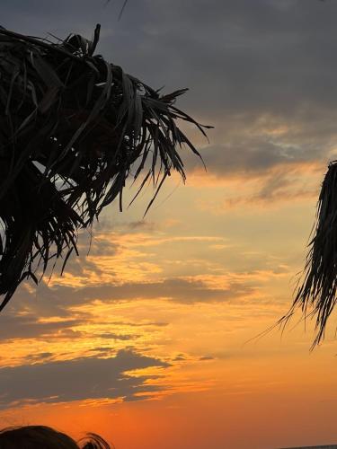 a view of the sunset from under a palm tree at DORA'S HOUSE Douneika in Amaliás