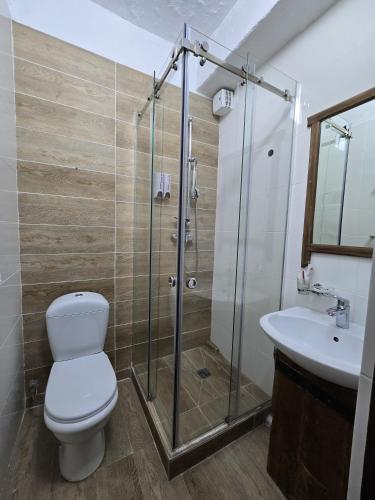 a bathroom with a shower and a toilet and a sink at Saraishyq Hotel in Almaty
