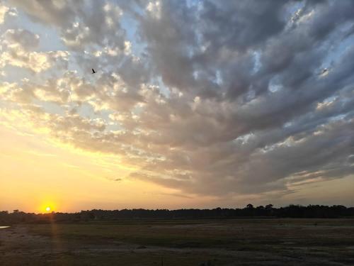 a kite flying in a cloudy sky at sunset at Amantran Hotel & Resort, Chilapata in Patkapāra