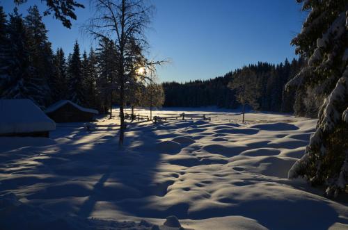 a snow covered field with a picnic bench in the distance at The Old Logging Camp in Yttermalung