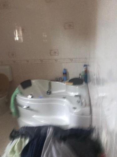 a bathroom with a white sink in a room at Vila Elena in Bucharest
