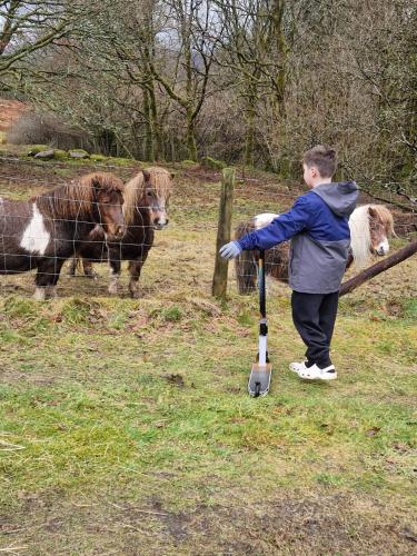 a young boy with a scooter looking at two animals at Misty Mountain Log Cabin - Trawsfynydd in Trawsfynydd