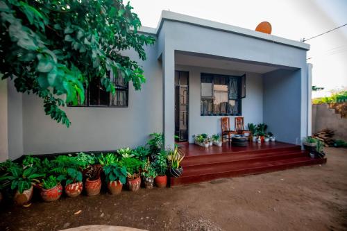 a house with a bunch of plants in front of it at New Star House in Arusha