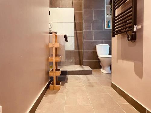 une salle de bain avec douche et toilettes dans l'établissement La Perle du Vieux Rouen - 370, à Rouen