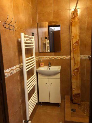 a bathroom with a sink and a mirror at Pensiunea Magnolia in Ocna Şugatag