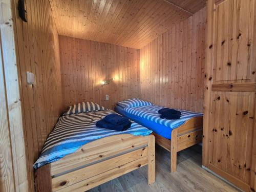 a sauna with two beds in a wooden room at Eichholz-Hof kleines Ferienhaus Objekt-ID 15465-8 in Waren