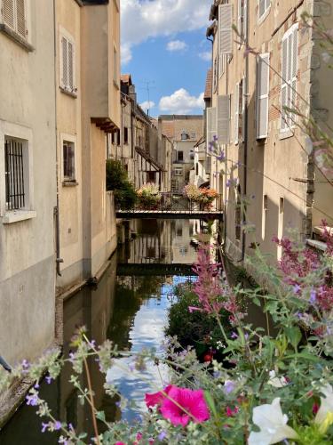 a canal in a city with buildings and flowers at La maison Virginie 1 à 2 pers charmant central-parking gratuit- linge- fibre- proximité port lac canal piscine in Montargis