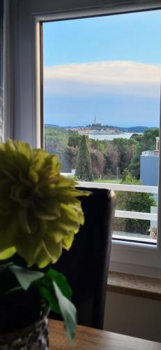 Villa Salvia Rooms and Apartments