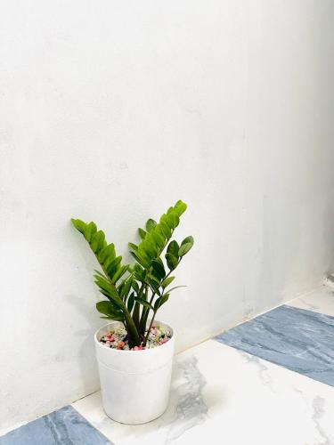 Fotografie z fotogalerie ubytování Căn Hộ Có Sân Thượng, view sông v destinaci Cái Răng