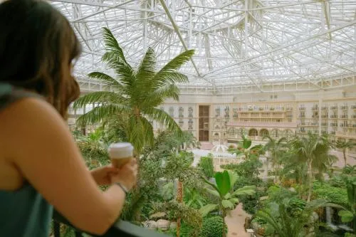 Gaylord Palms Resort & Convention Center photo 9