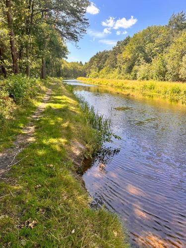 Thuisje van Hout, tiny house in Drentse natuur
