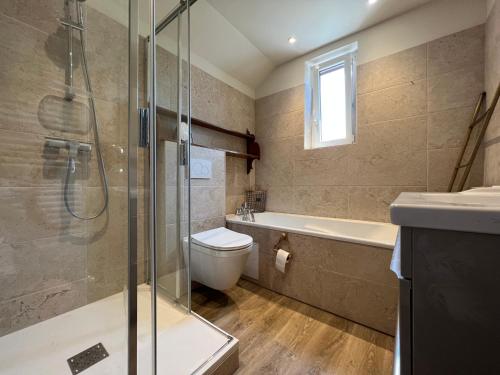 une salle de bain avec une douche, des toilettes et un lavabo dans l'établissement Gayaloé, à Dhuizon