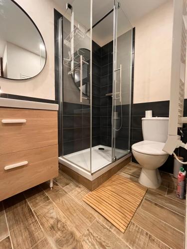 a bathroom with a shower and a toilet at Studio de la Marmotte - Aime 2000 in Aime La Plagne