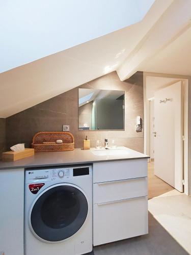 - une buanderie avec un lave-linge et un évier dans l'établissement Appartement Villa Cosy, à La Tronche