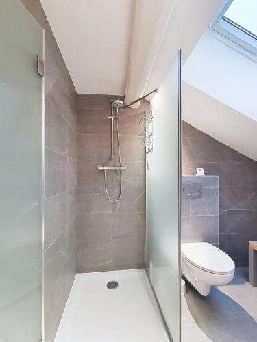 une salle de bain avec douche et toilettes dans l'établissement Appartement Villa Cosy, à La Tronche