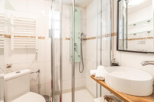 La salle de bains est pourvue d'un lavabo et d'une douche. dans l'établissement Chatelet Flat, à Paris