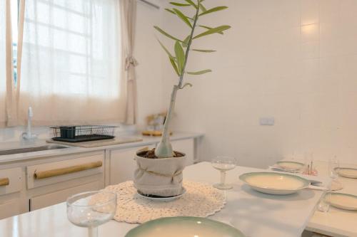 a potted plant sitting on a table in a kitchen at Amplo Aptº em Maringá - Excelente Localização! in Maringá