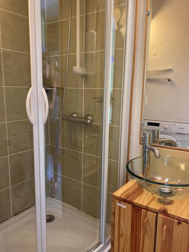 La salle de bains est pourvue d'une douche et d'un lavabo en verre. dans l'établissement L'Adret, à Barèges