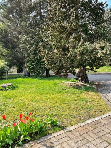 a park with red tulips in the grass and a tree at De Reinakker Bungalow in Sint-Gillis-Waas