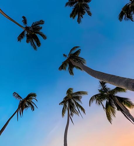 Fotografie z fotogalerie ubytování The Palms at Kitty Wharf – A Luxury Eco-Lodge in the Heart of Providencia v destinaci Playa Aguadulce