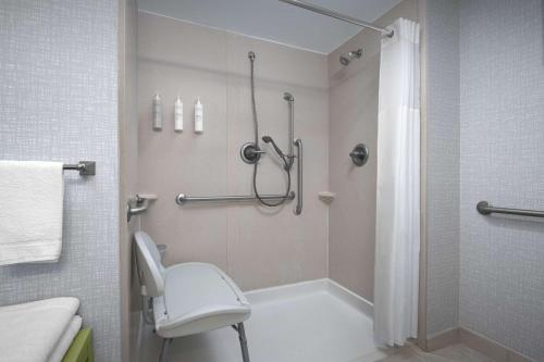 Ένα μπάνιο στο Hampton Inn Statesboro