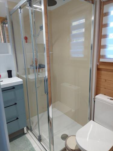 une salle de bain avec douche et toilettes dans l'établissement Le petit Bachelet - Chalet tout confort à la mer, à Plérin