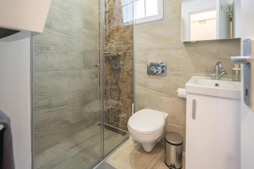 a bathroom with a shower and a toilet and a sink at Katica's Ribnjak Retreat in Zagreb