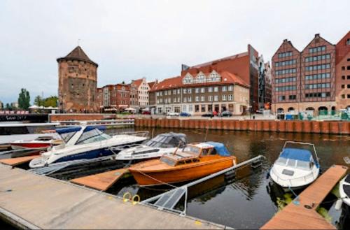 Niebiańskie gniazdko koło Starego Miasta