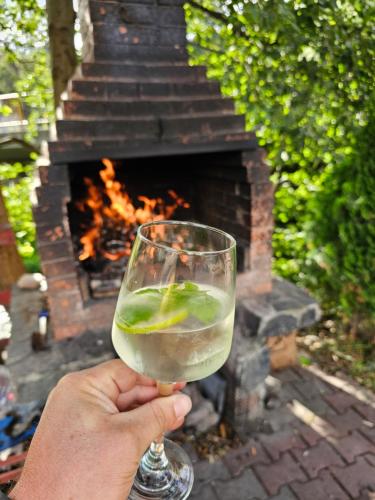 a person holding a glass of wine in front of a fireplace at Pensiunea Miruna in Moieciu de Jos