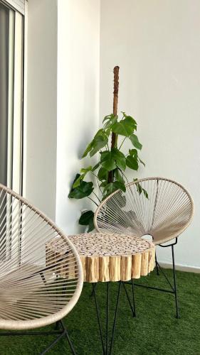a chair and a table and a plant in a room at N28 Rabat Corniche Appartement Moderne à Deux Pas de la Mer in Rabat