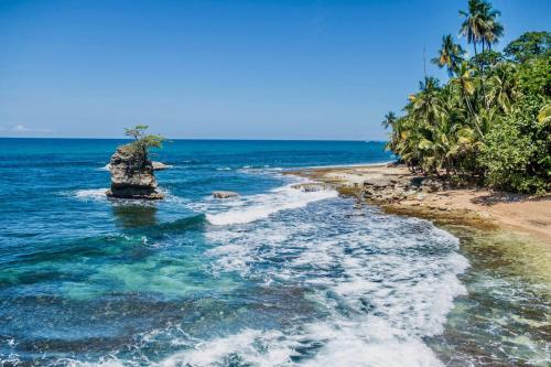 a beach with a rock in the water and palm trees at Caribbean Comfort in Puerto Viejo