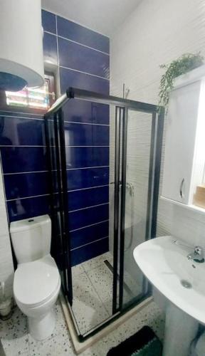 a bathroom with a shower and a toilet and a sink at Joković Accommodation in Kotor