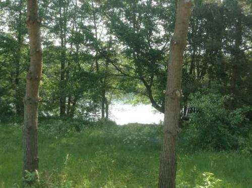 Příroda nedaleko prázdninového domu