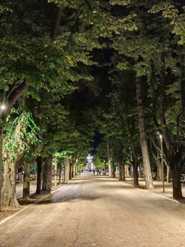 チンゴリにあるLa valle delle apiのギャラリーの写真