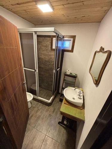 a small bathroom with a shower and a sink at La Rosadita in Necochea