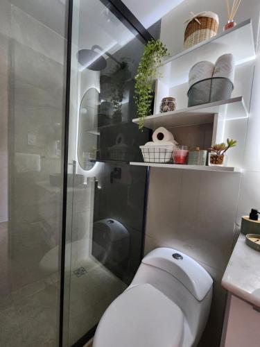 ein Badezimmer mit Toilette und Dusche in der Unterkunft Hermoso Departamento in Santa Cruz de la Sierra
