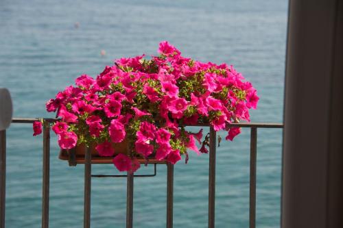a pot of pink flowers sitting on a railing at Villa Lieta in Ischia