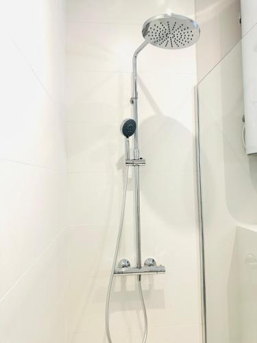 une douche avec pommeau de douche dans une salle de bain dans l'établissement R'Apparts 2-Room Colonel Urbain, à Grenoble