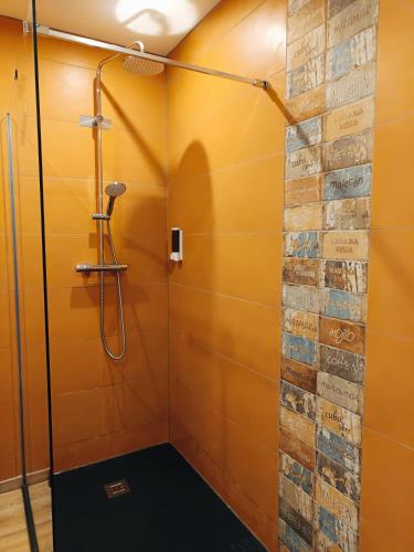 La salle de bains est pourvue d'une douche et d'un mur en briques. dans l'établissement Suite indépendante - Le Coquelicot, à Peyruis