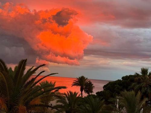 an orange cloud in the sky over the ocean with palm trees at Villa DEA - Home away from home - Families Only in Salou