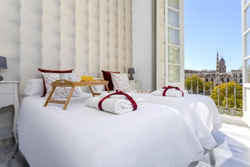 -MalagaSunApts-Merced Square Picasso Dream