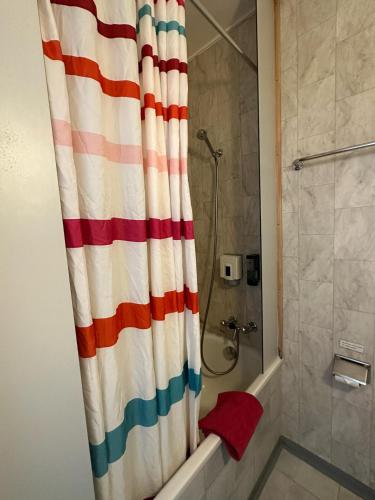 Gallery image of HOTEL CHRISTINA in Wilderswil