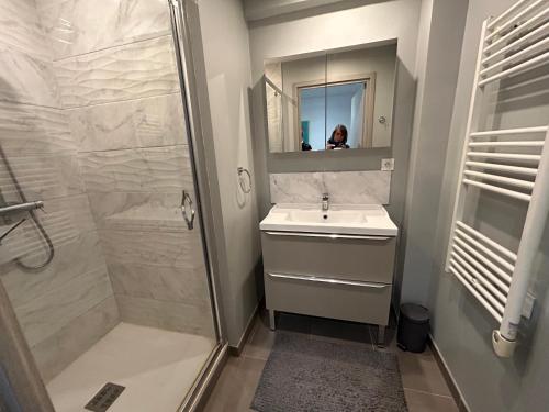 une salle de bain avec une douche, un lavabo et un miroir dans l'établissement Appartement Belle Dune, à Bray-Dunes