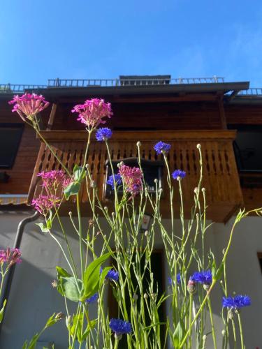 a bunch of purple flowers in a vase at Gasthof Frasswirt in Frass