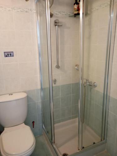 a bathroom with a toilet and a glass shower at S & K GROUND FLAT in Vrilissia in Athens