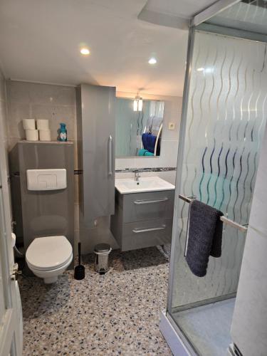 une salle de bain avec toilettes et lavabo dans l'établissement Belle maison 2 chambres avec extérieur et Parking couvert, à La Ciotat