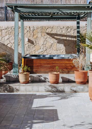 a group of potted plants in front of a bench at Riad Villa Wengé & Spa in Marrakech