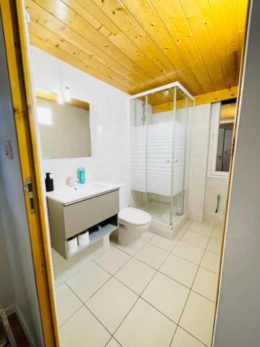 une salle de bain avec toilettes et douche en verre dans l'établissement Beau Studio au calme !, à Villeurbanne